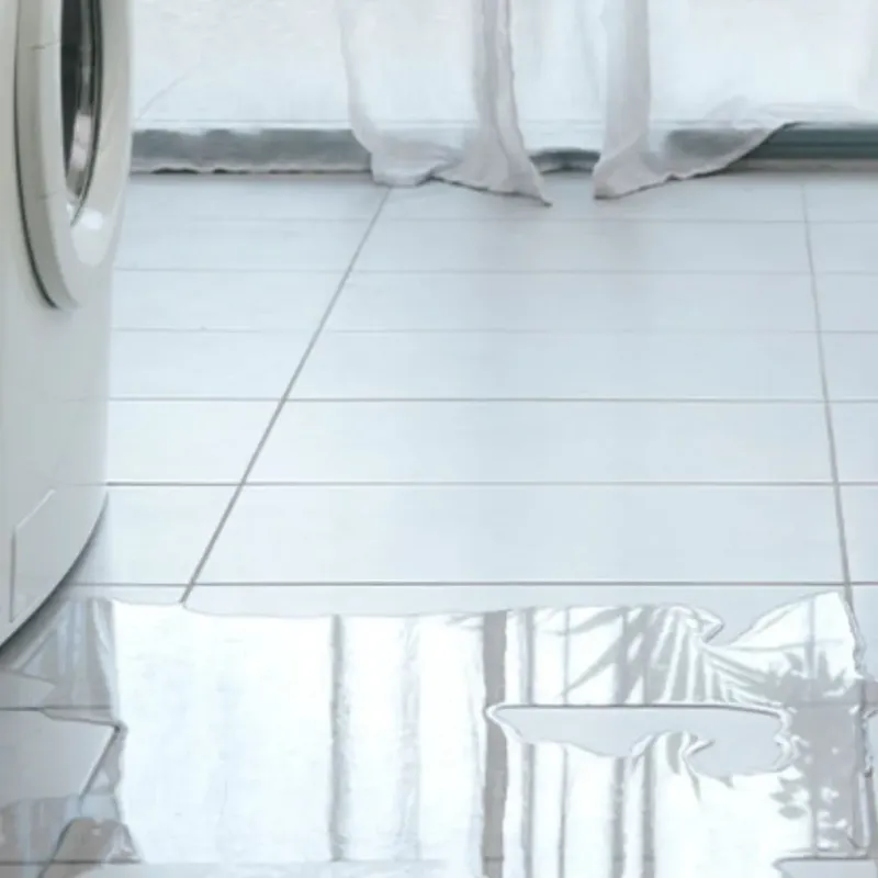 Appliance Leak Cleanup in Tuscaloosa County, AL