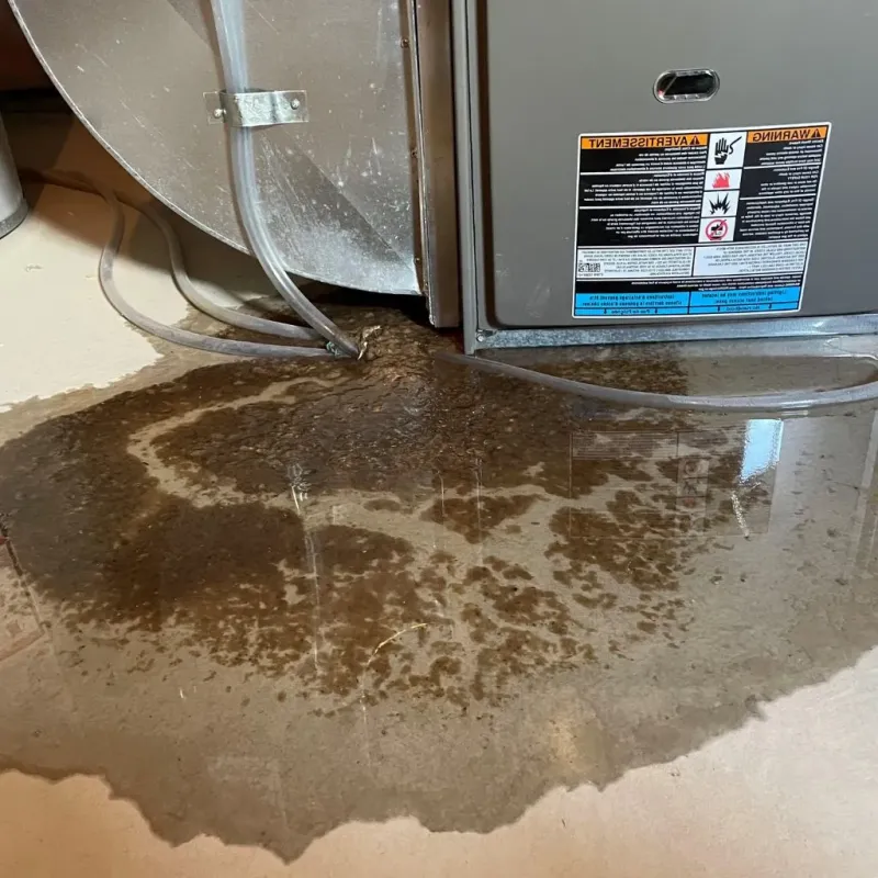 Pipe Burst and Leak Restoration in Tuscaloosa County, AL