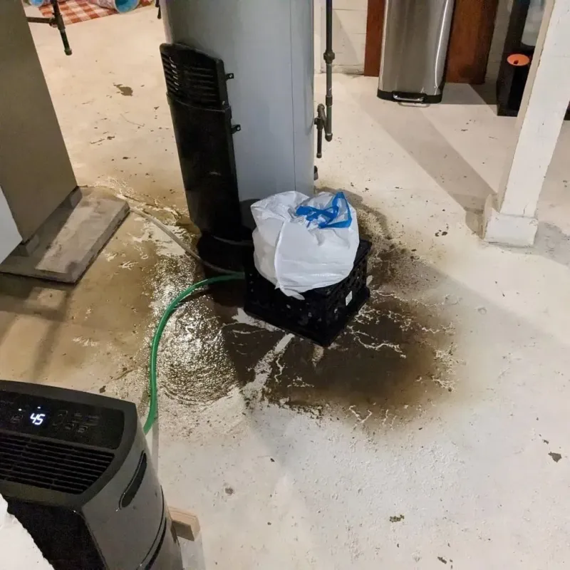 Sewage Backup Cleanup Service in Tuscaloosa County, AL
